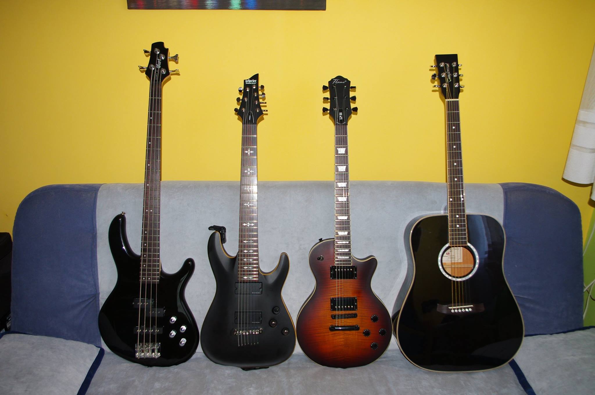 moje gitary
